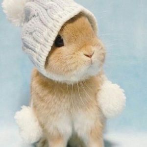 Meet your Posher, Stephany